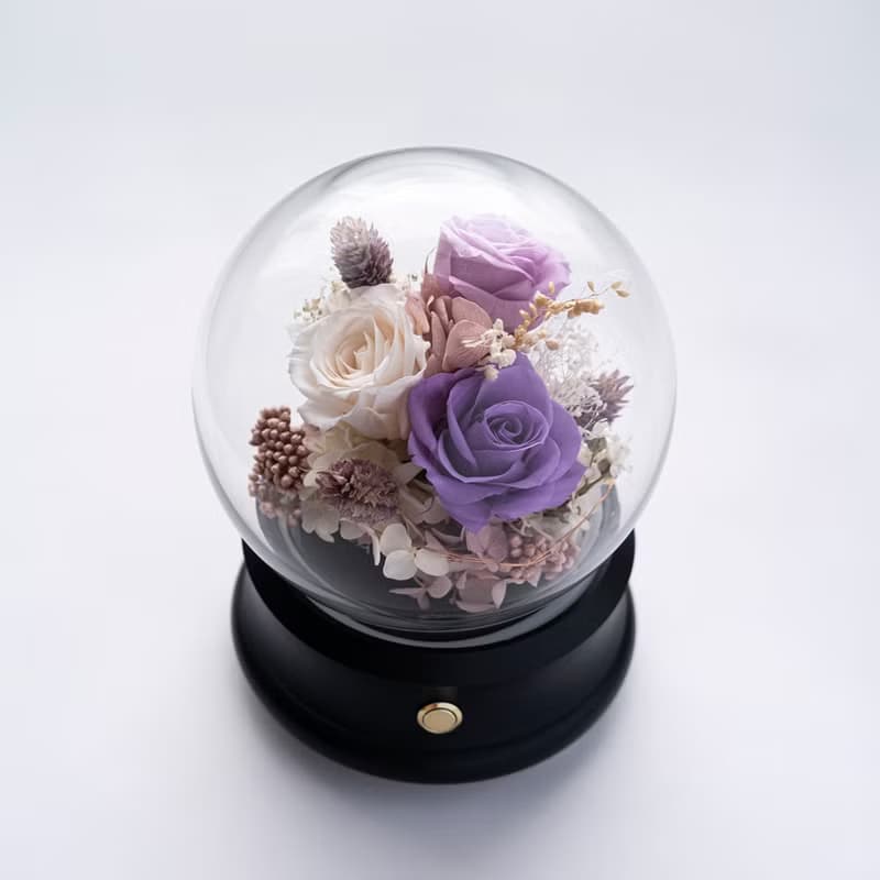 恆星花園藍芽喇叭 - 黑