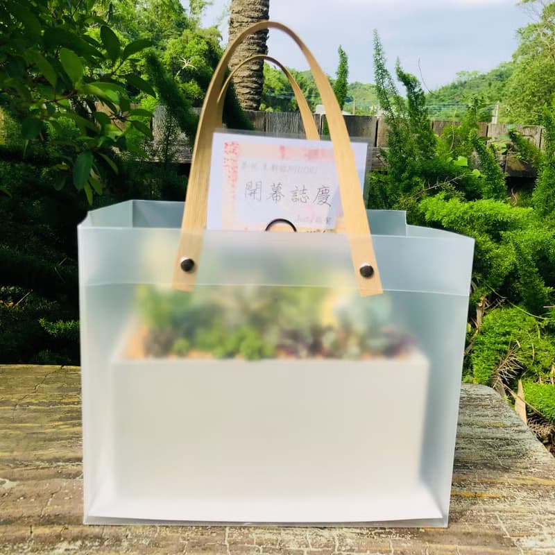 【送禮盆栽】多肉植物/純手工長方水泥盆2款2色/可任選2款飾品