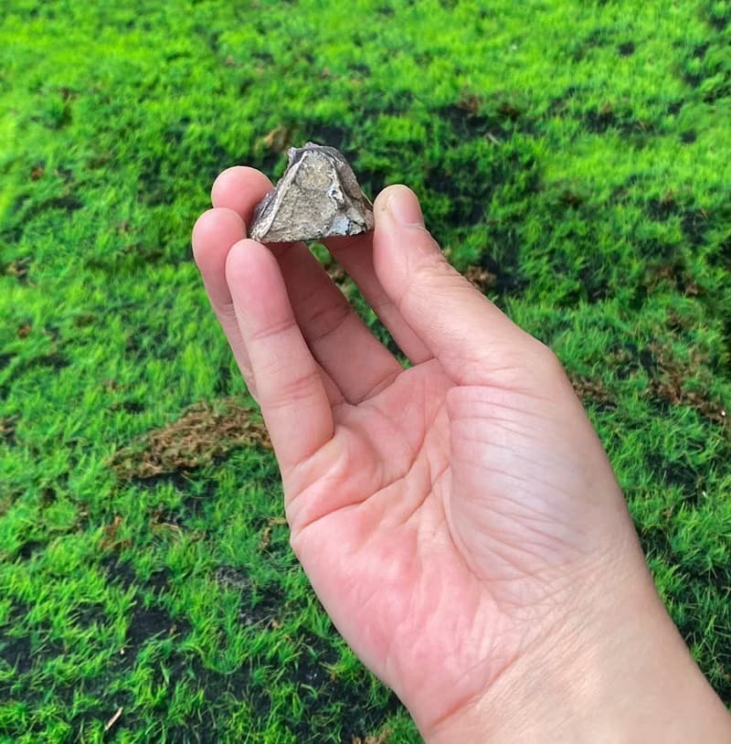 能量擺飾-天然可愛山形紫晶鎮 紫水晶 財運水晶 增智慧