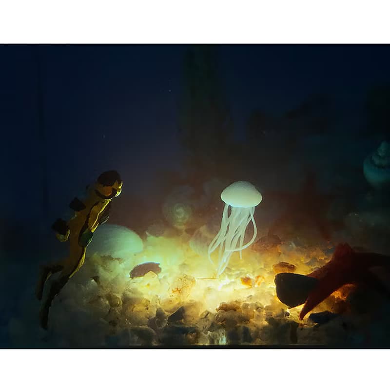 環氧樹脂工藝品/迷你海洋景觀/海底世界滴膠海洋擺件小夜燈