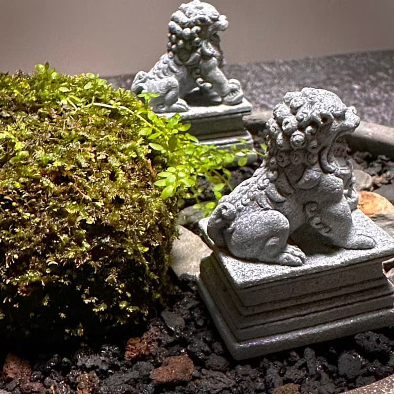 自然苔玉美學 –守護