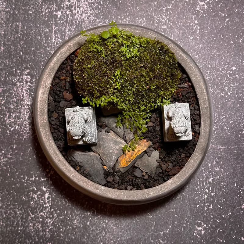 自然苔玉美學 –守護