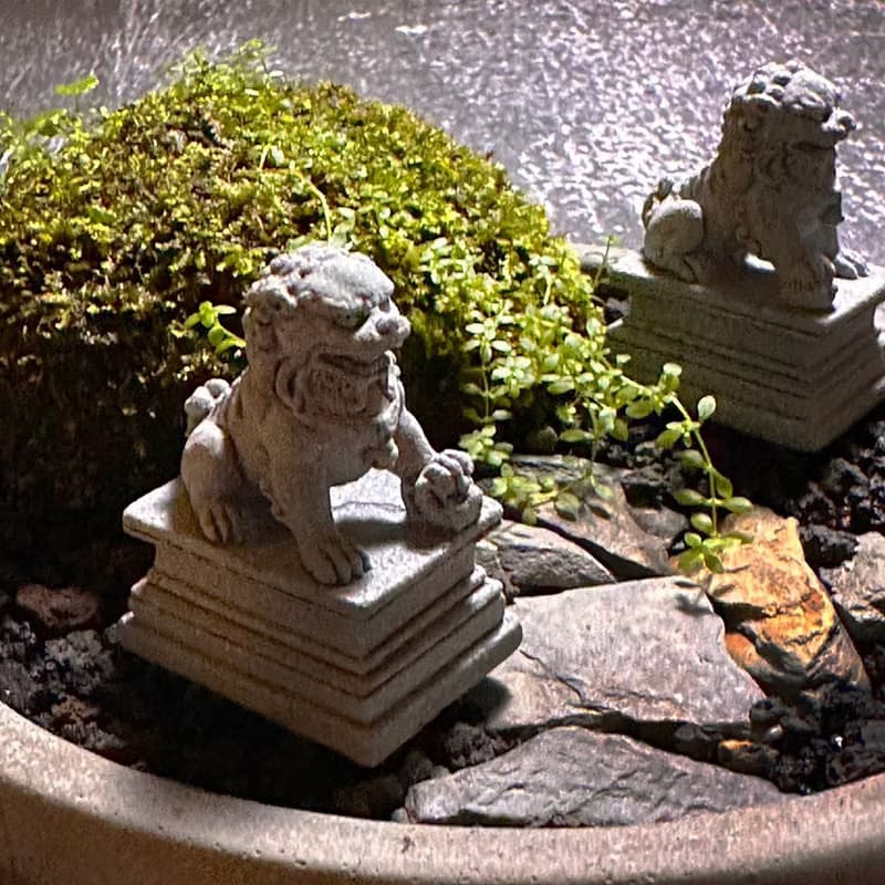 自然苔玉美學 –守護