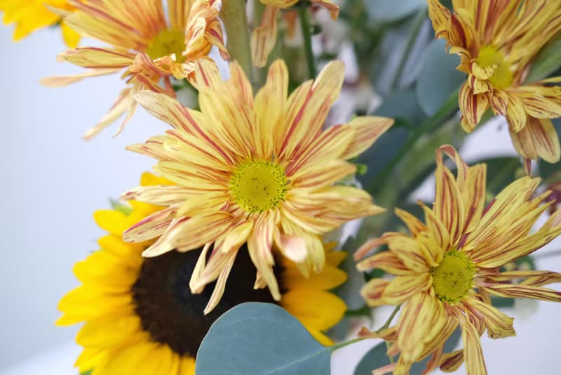 向日葵花束 2023七夕 情人節花束 韓式花束  生日花束 女友禮物