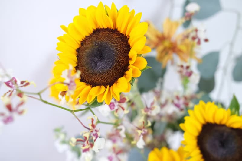 向日葵花束 2023七夕 情人節花束 韓式花束  生日花束 女友禮物