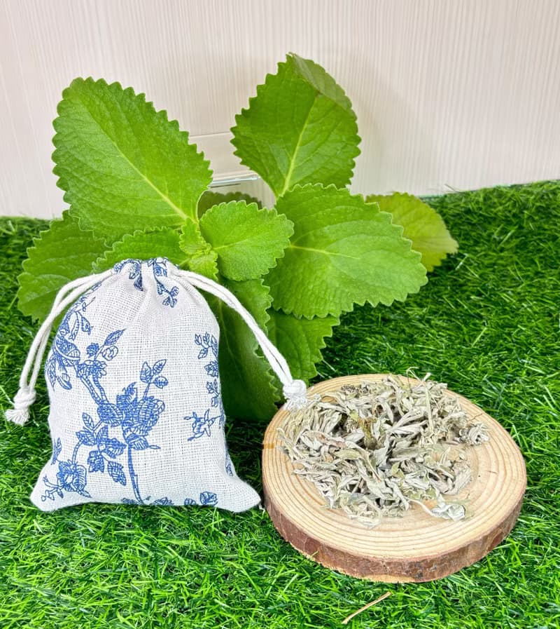 香草結界守護組-防蚊 × 除穢 × 心靈守護的夏日儀式感