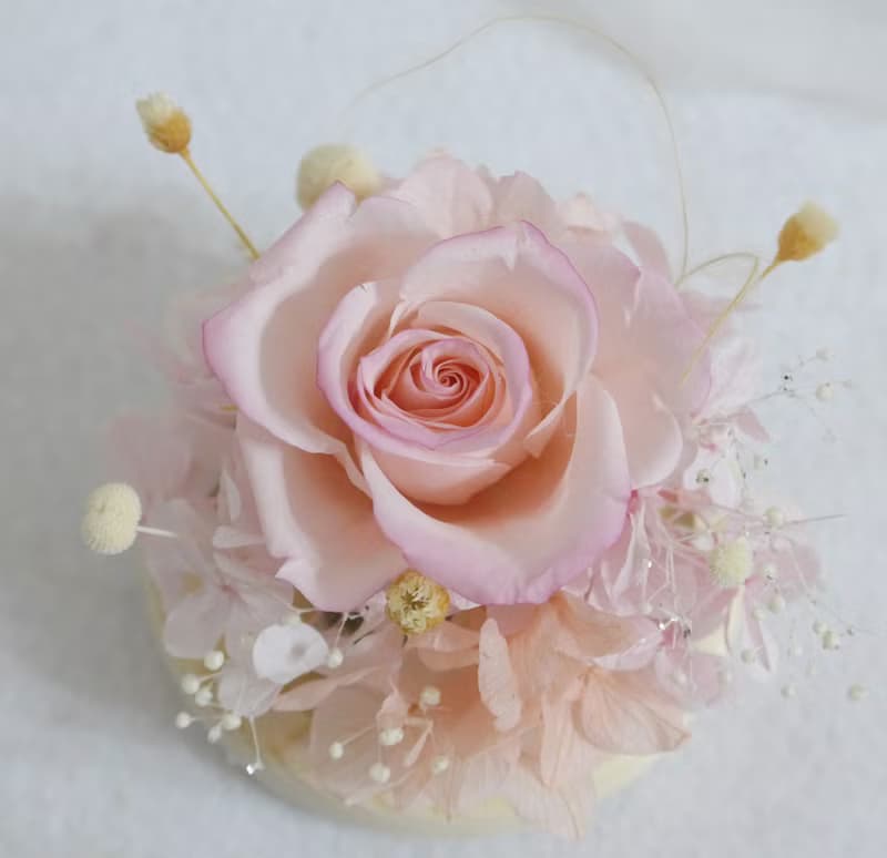 情人節禮物花束永生玫瑰玻璃盅罩紫愛你 結婚捧花永生乾燥花情人