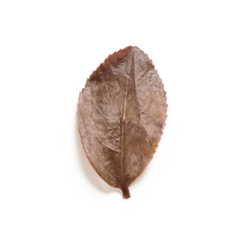 羽曦堂【華燈御宴】頂級稀少麝香蜜貴妃烏龍茶