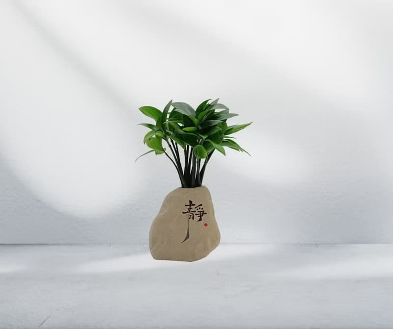 竹柏植栽 陶藝關公 奇木 風化黃連木