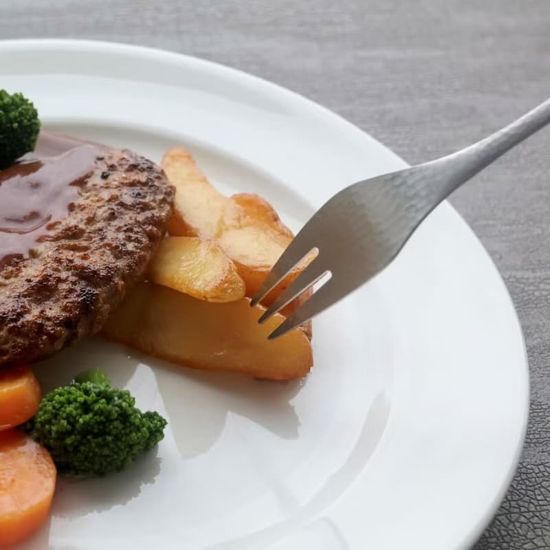 日本【SALUS 佐藤金屬】Nagomi和風鎚目紋餐具