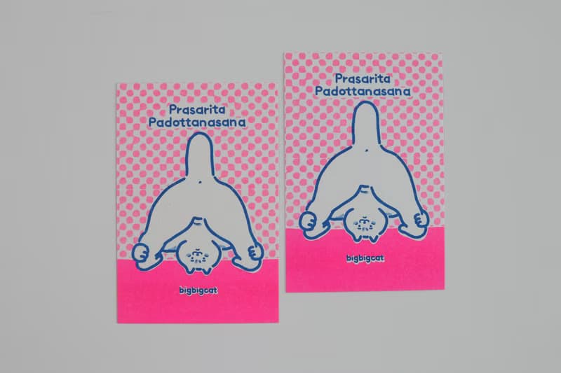 big big cat postcard - Prasarita Padottanasana