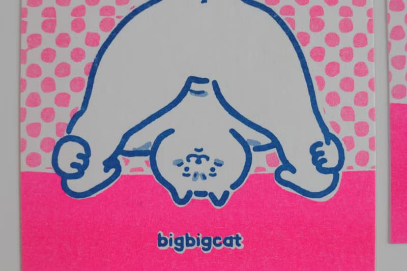 big big cat postcard - Prasarita Padottanasana
