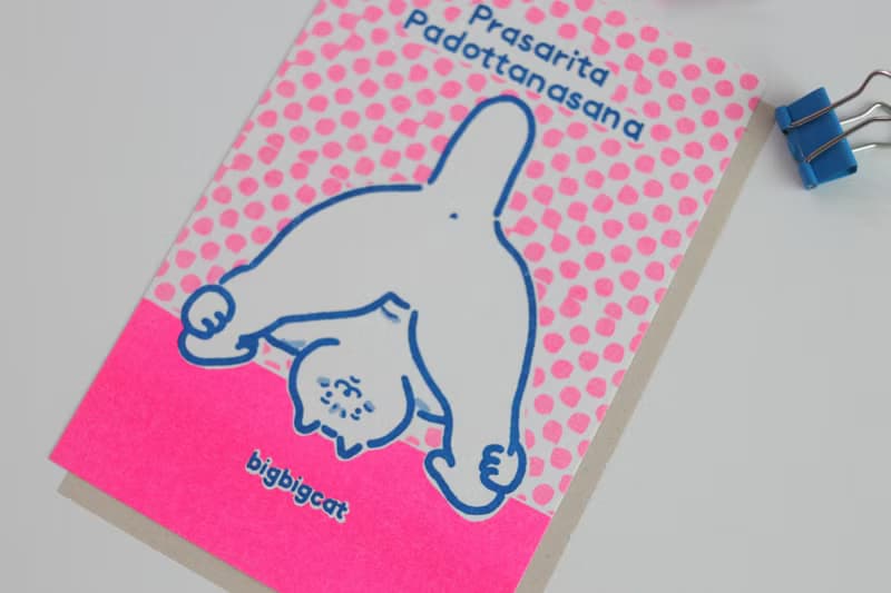 big big cat postcard - Prasarita Padottanasana