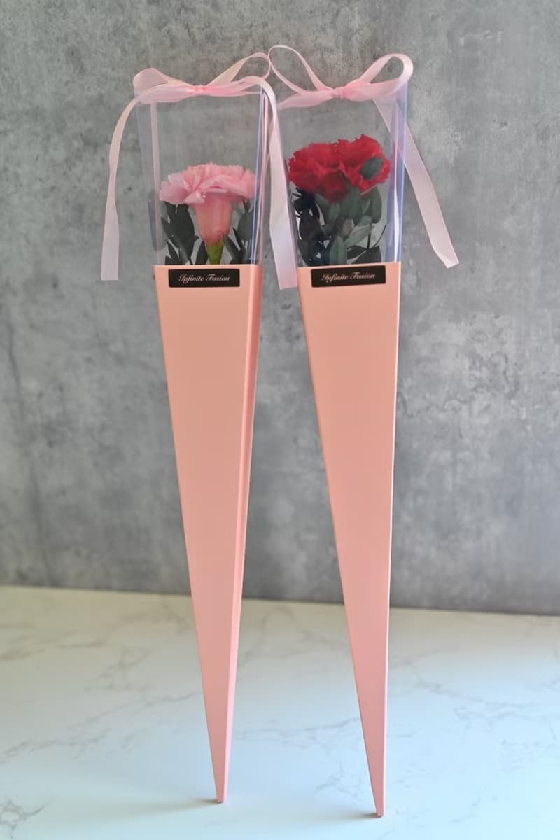 【母親節花束】單支康乃馨