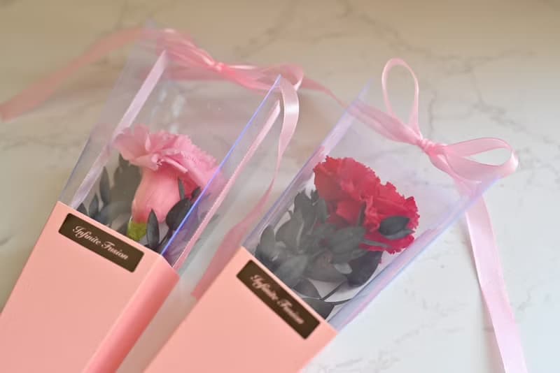 【母親節花束】單支康乃馨