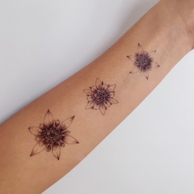 手繪小清新花草植物紋身貼紙文青花束剌青浪漫塔羅簡潔裝飾物禮物