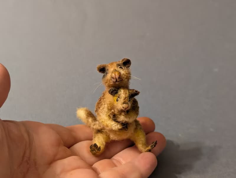 A family of tree-kangaroos. 7cm + 2,8 cm