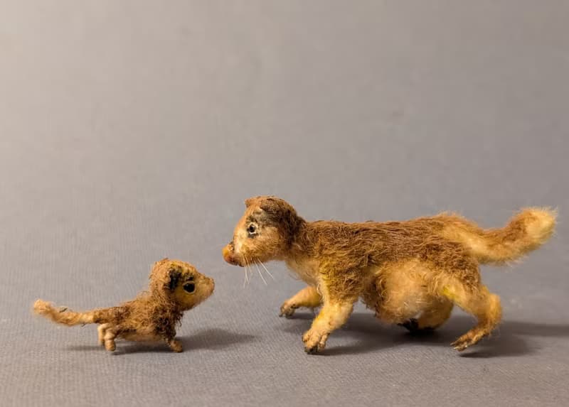 A family of tree-kangaroos. 7cm + 2,8 cm