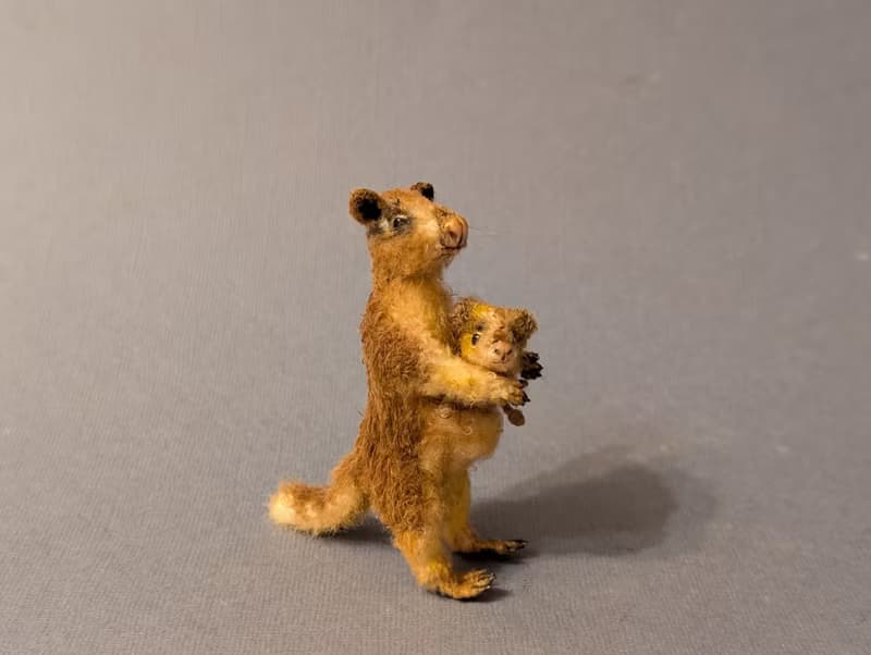 A family of tree-kangaroos. 7cm + 2,8 cm
