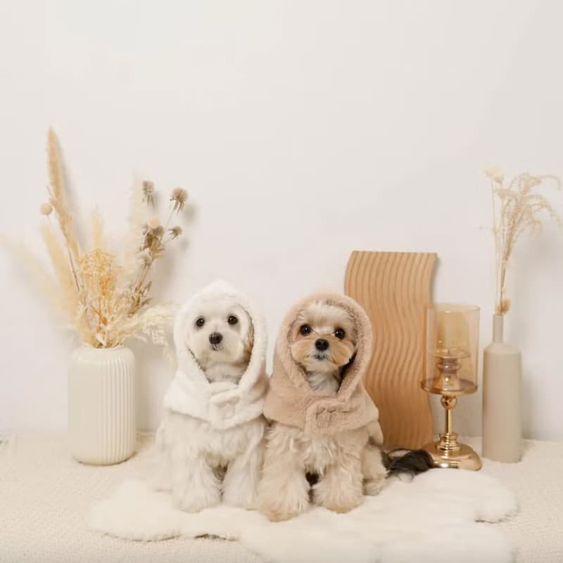 【 MONCHERI 】寵物服飾 | 連帽毛毛圍巾斗篷