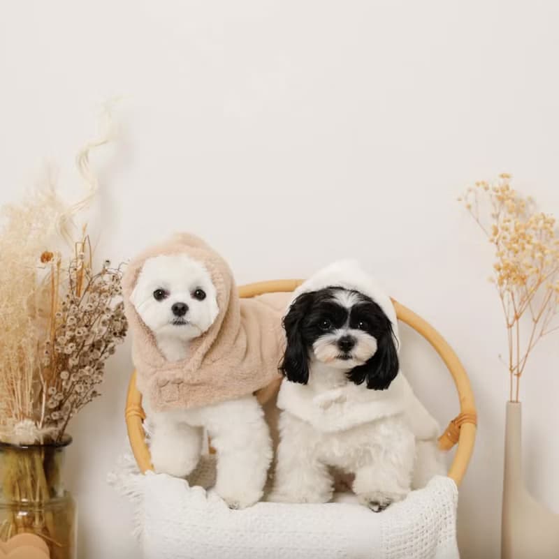 【 MONCHERI 】寵物服飾 | 連帽毛毛圍巾斗篷