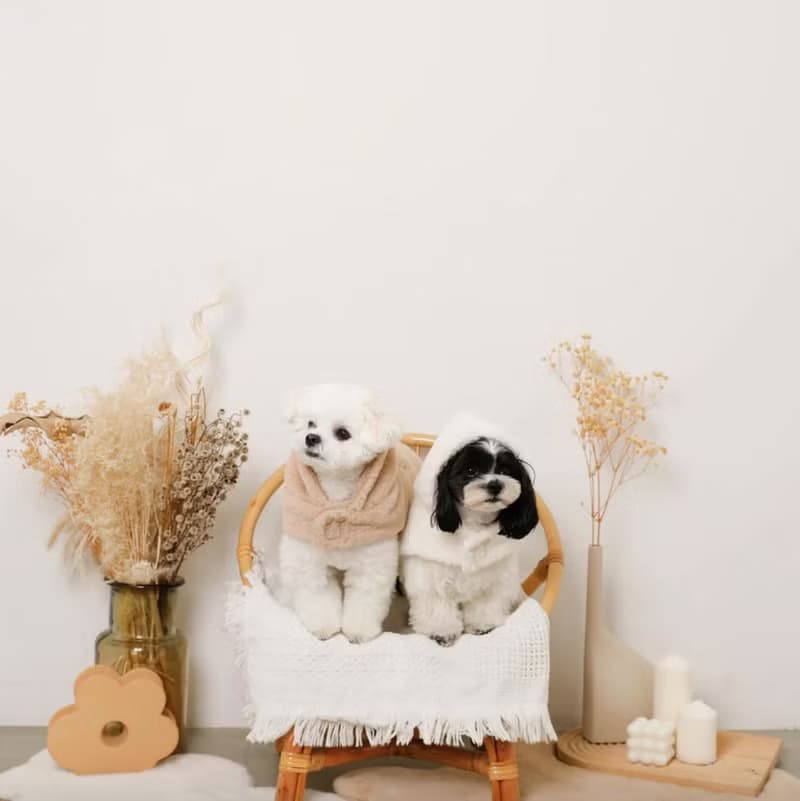 【 MONCHERI 】寵物服飾 | 連帽毛毛圍巾斗篷