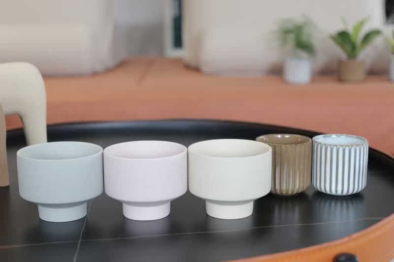 植栽 盆栽 l 心葉椒草 啞光燭台陶器  滿滿心型葉片 室內植物