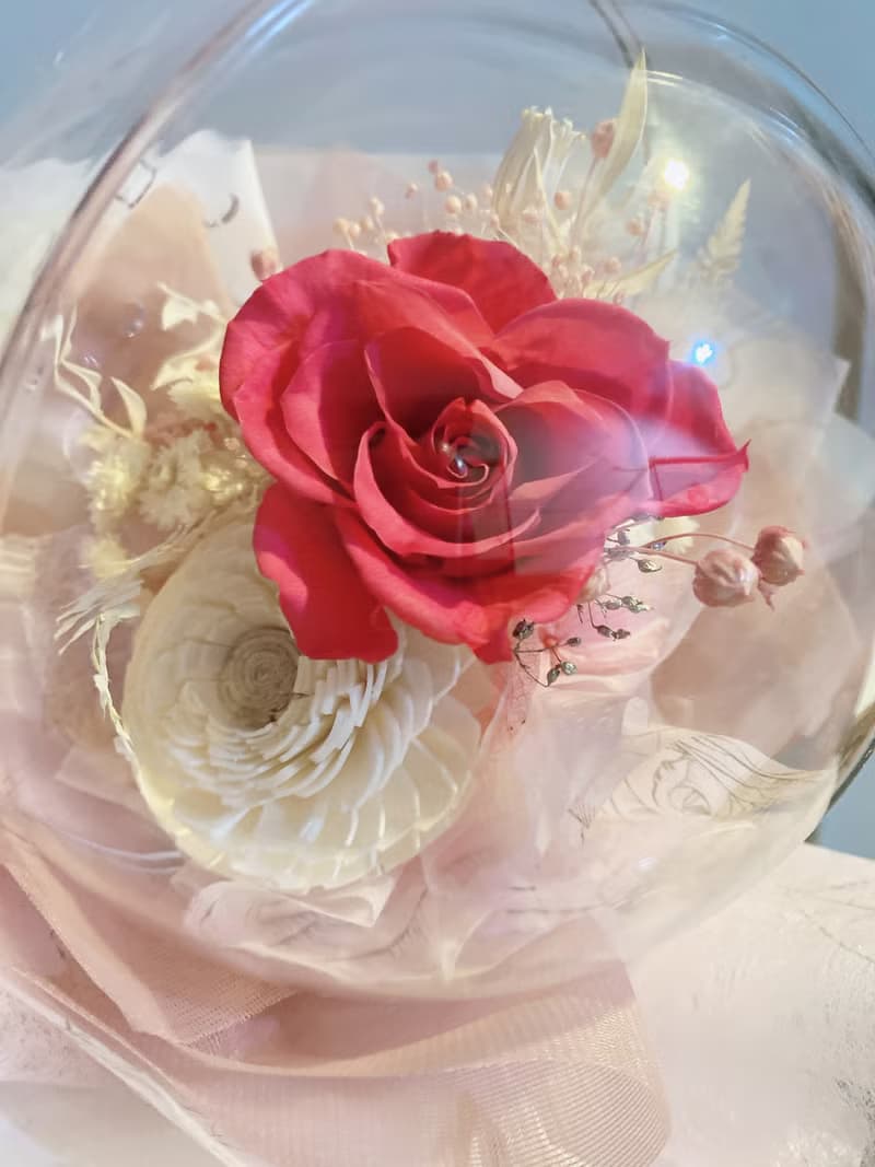 桃色粉色永生花波波球花束/戀愛色系/送自己也適合/招桃花花束