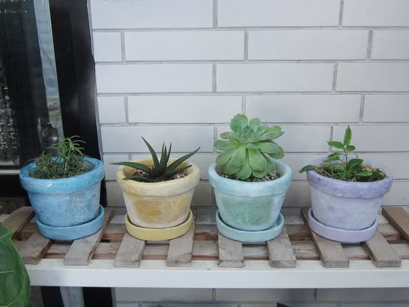 【訂製】植香系列-糖果色水泥盆器(M)