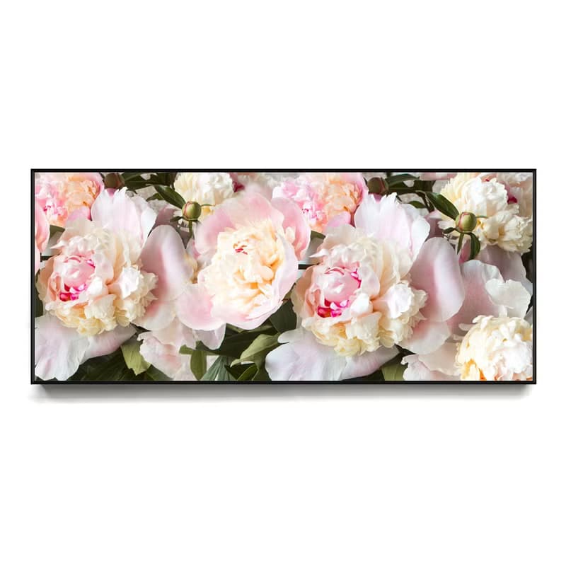 嬌嫩牡丹II - 高貴牡丹花臥室床頭畫/客廳裝飾畫/辦公室掛畫