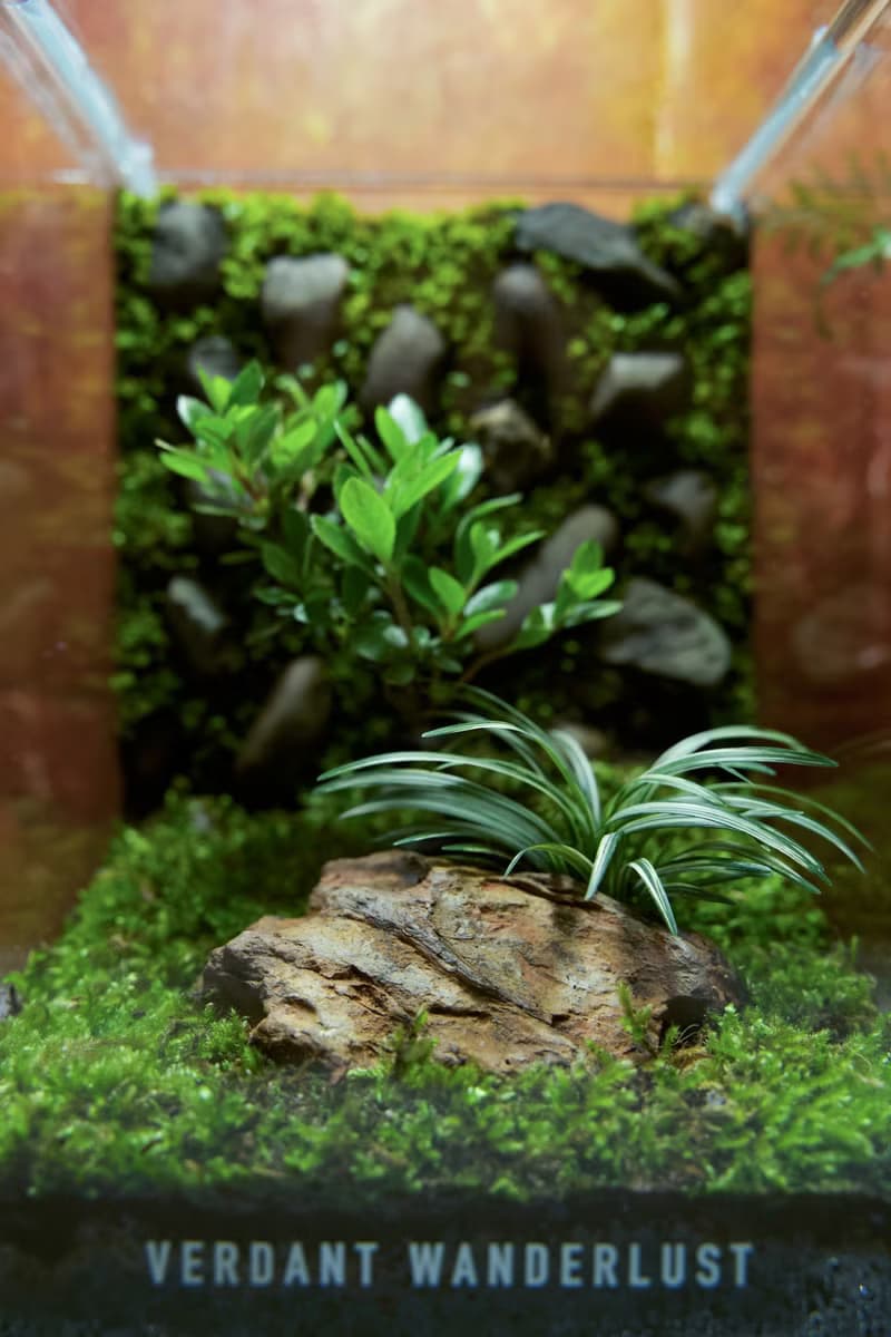 【生態缸－石隱杜鵑】微景觀 室內植栽 禮物 辦公室擺設