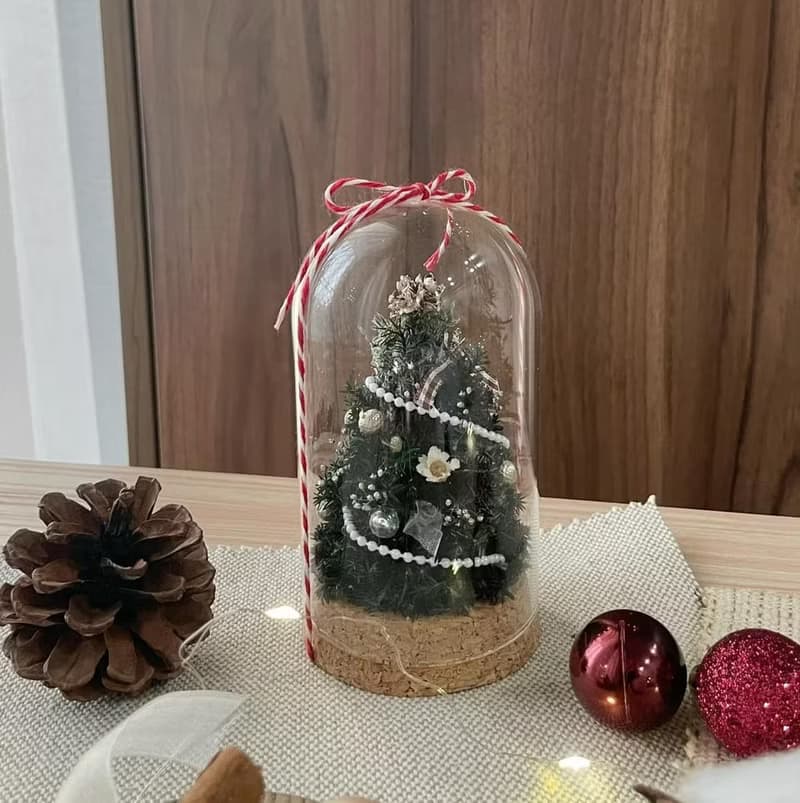 【瓶中聖誕樹】聖誕節 雪松 交換禮物 聖誕禮物 聖誕花圈 附禮盒