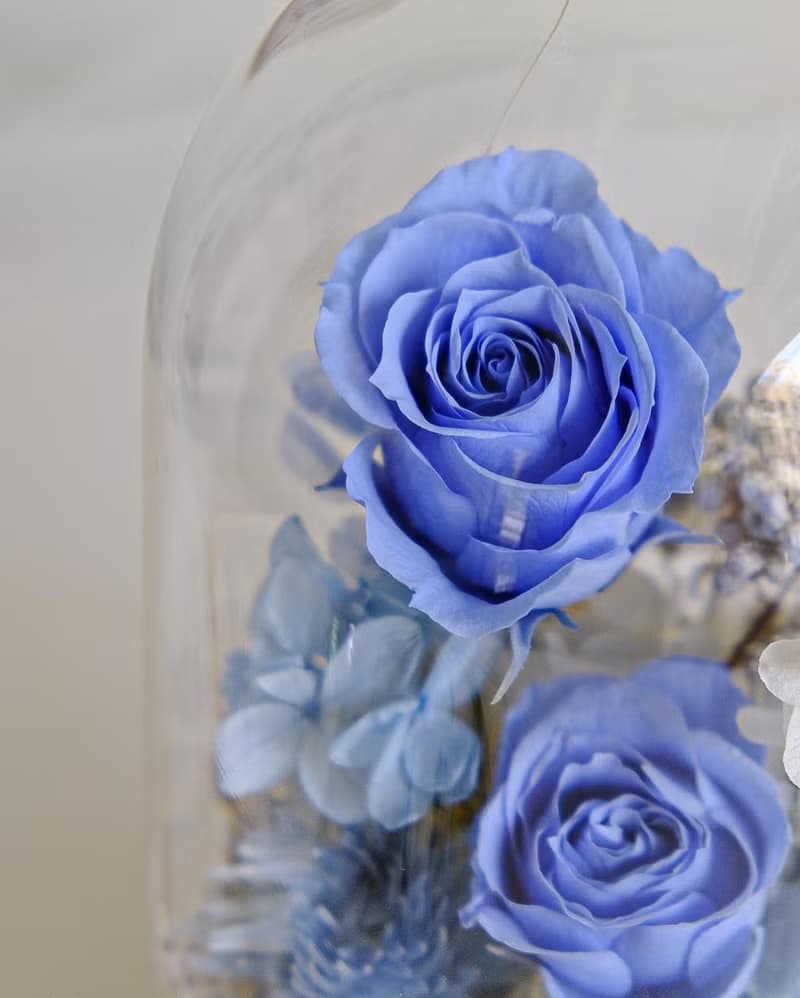 天空藍玻璃花盅-永生玫瑰花 情人節禮物 教師節