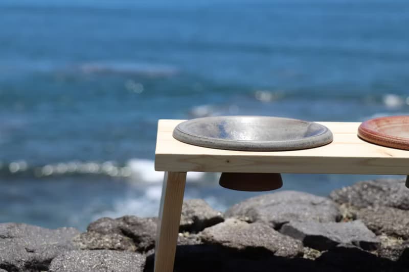 【自由選色】寵物食碗&木架-接單訂製