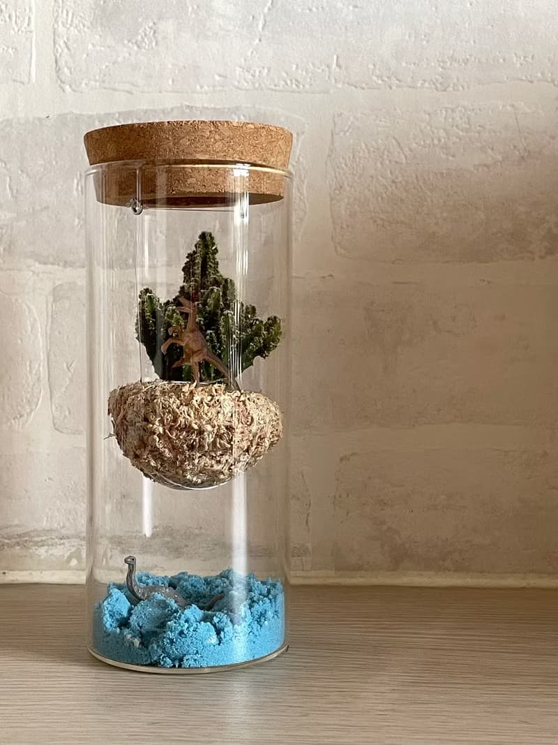 【飄浮島】傑森植場JASON/多肉/仙人掌/天空之城/送禮/植栽/苔球