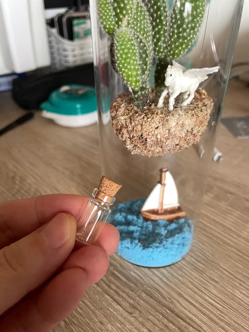 【飄浮島】傑森植場JASON/多肉/仙人掌/天空之城/送禮/植栽/苔球
