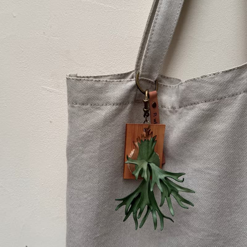 爪哇鹿角蕨_皮革吊飾 / 送禮