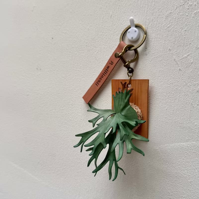 爪哇鹿角蕨_皮革吊飾 / 送禮