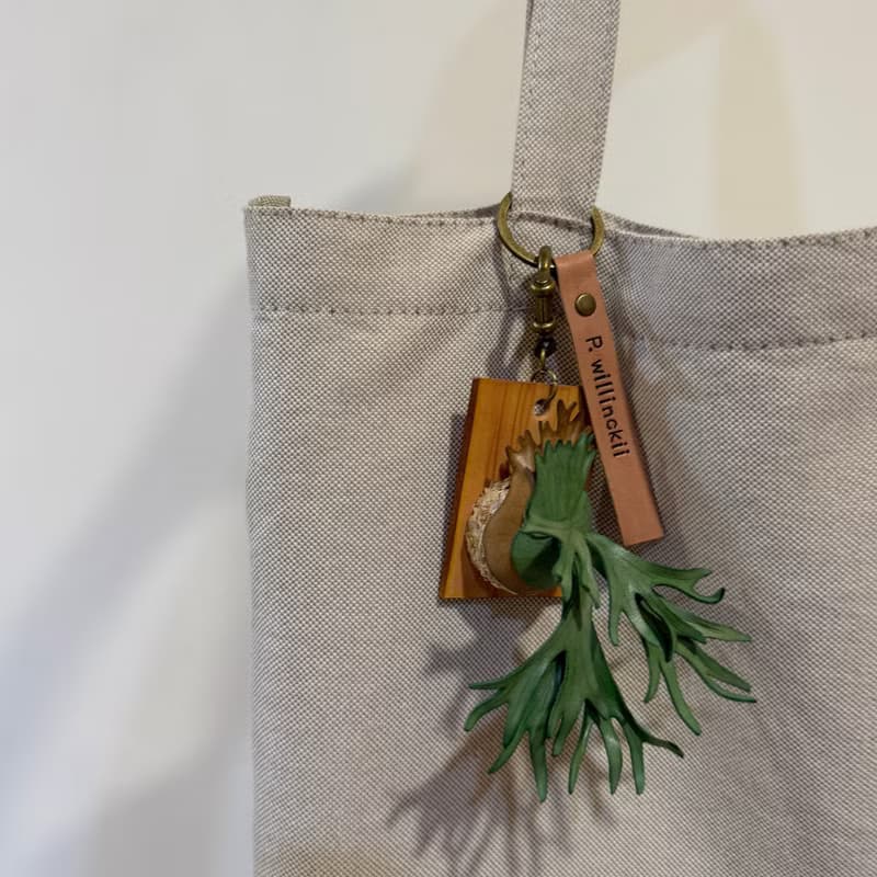 爪哇鹿角蕨_皮革吊飾 / 送禮