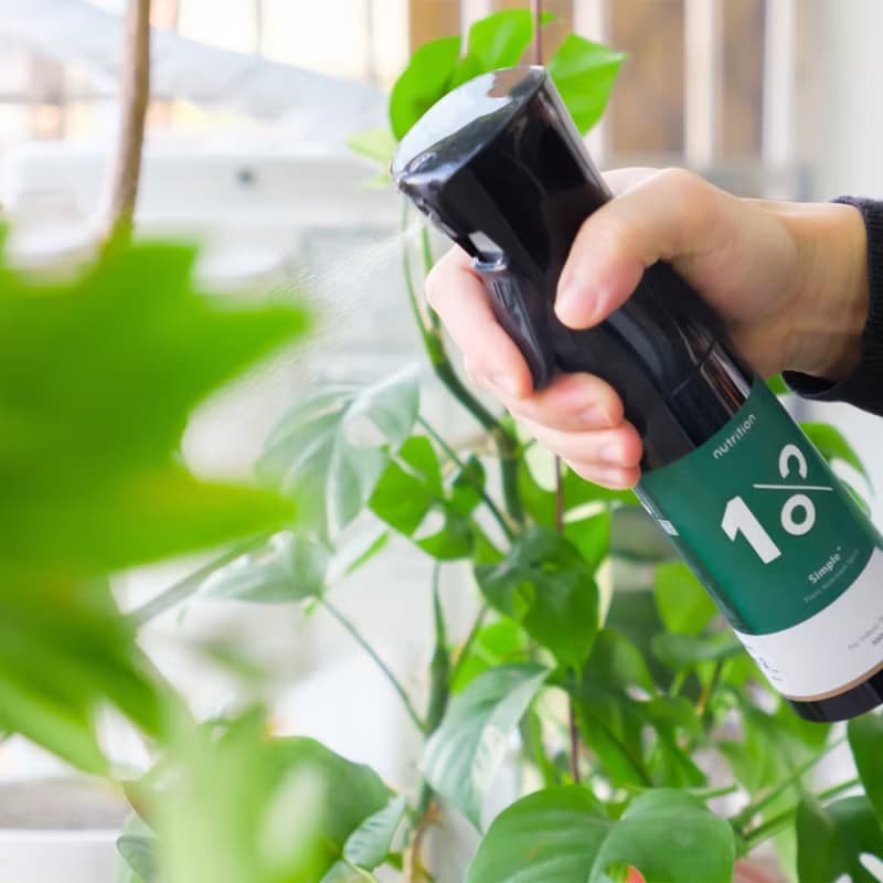 │ 葉面肥料 │ 1%植物保養噴霧 - 顯色茁壯 天然萃取 寵物友善