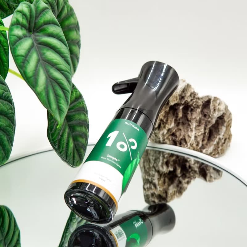 │ 葉面肥料 │ 1%植物保養噴霧 - 顯色茁壯 天然萃取 寵物友善