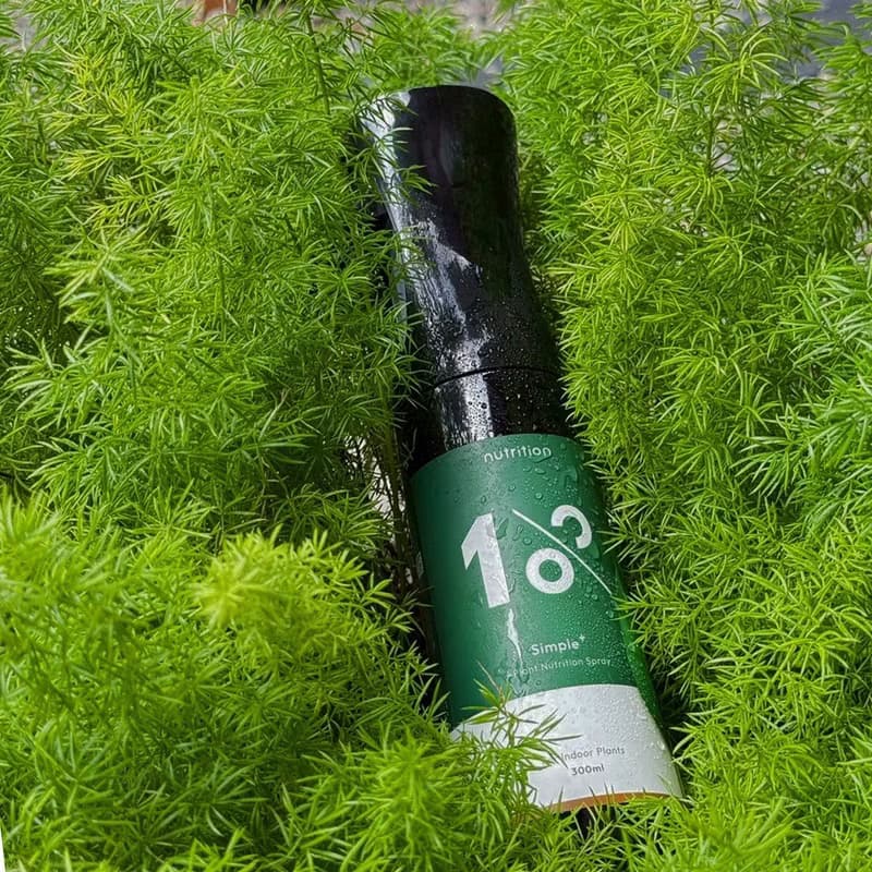 │ 葉面肥料 │ 1%植物保養噴霧 - 顯色茁壯 天然萃取 寵物友善