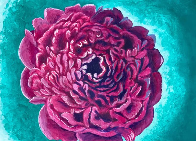 Royal peony, peony face. Gouache.