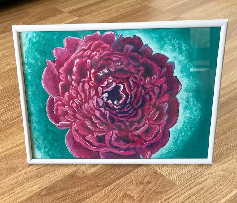 Royal peony, peony face. Gouache.