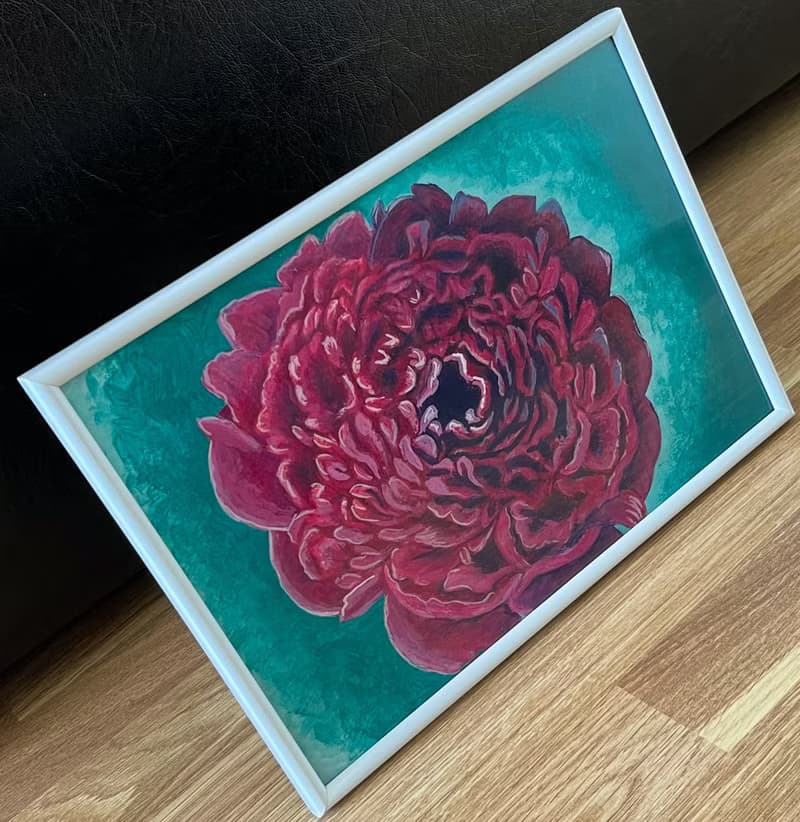 Royal peony, peony face. Gouache.