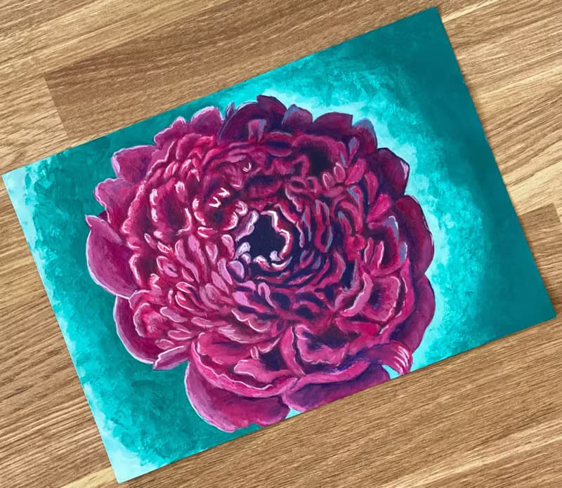 Royal peony, peony face. Gouache.
