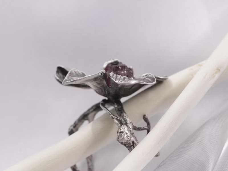 Forest memory.3 Garnet Ring