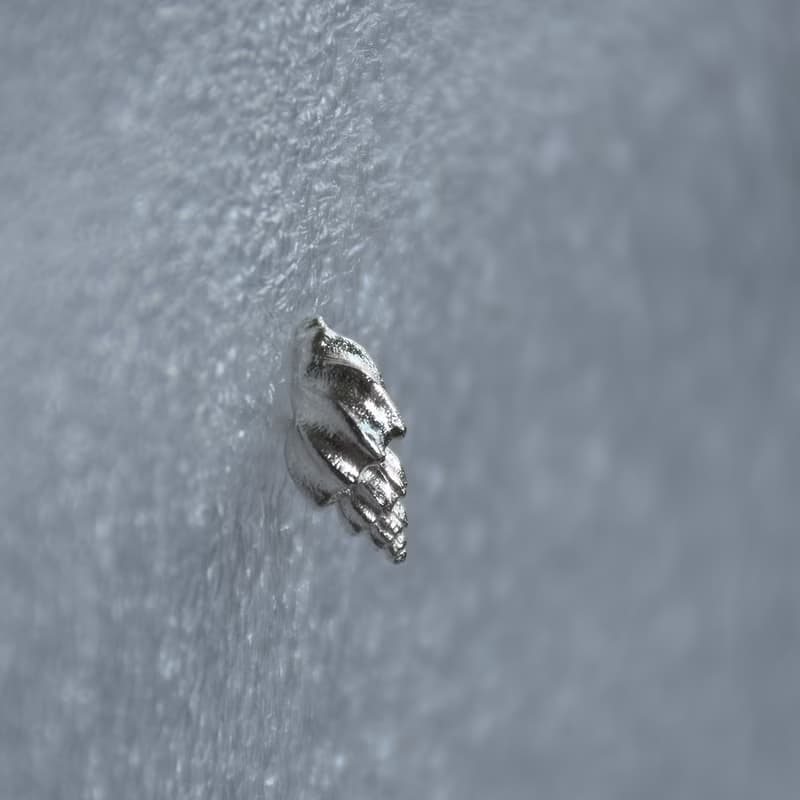 原創手作 海螺貝殼海洋生物粗紋螺純銀耳釘 一對