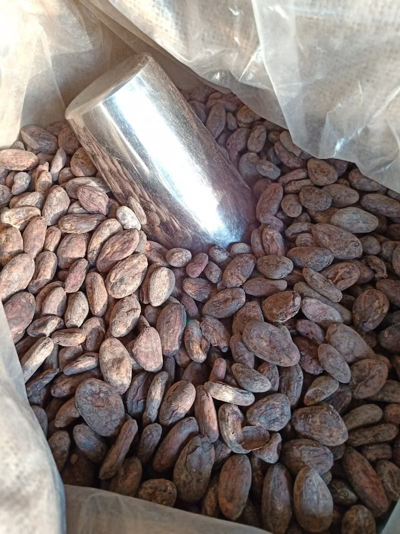 CACAO inN可可研製_糖霜可可原豆.小包.純素.買10包送一包