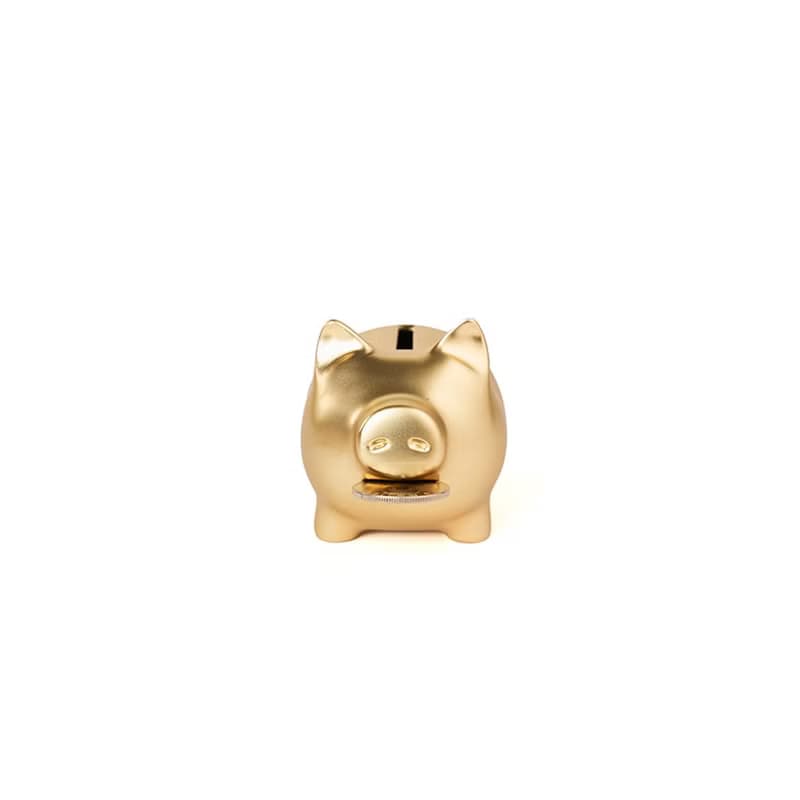 GOLDENPIG | 招財金豬 捌 霧金
